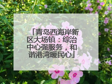 青岛西海岸新区大场镇：综治中心强服务，和谐港湾暖民心