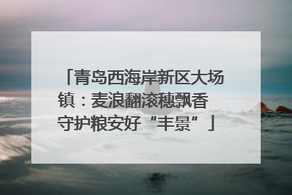 青岛西海岸新区大场镇：麦浪翻滚穗飘香 守护粮安好“丰景”