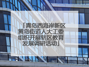 青岛西海岸新区黄岛街道人大工委组织开展辖区教育发展调研活动