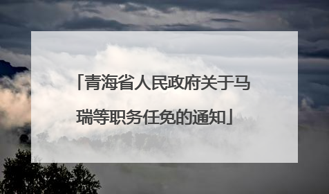 青海省人民政府关于马瑞等职务任免的通知