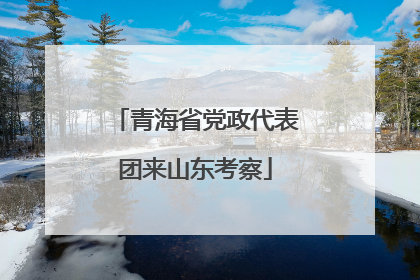 青海省党政代表团来山东考察
