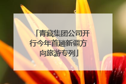 青藏集团公司开行今年首趟新疆方向旅游专列