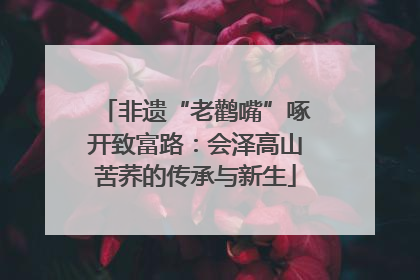 非遗“老鹳嘴”啄开致富路：会泽高山苦荞的传承与新生