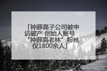 钟薛高子公司被申请破产 创始人账号“钟薛高老林”粉丝仅1800余人