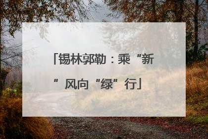 锡林郭勒：乘“新”风向“绿”行