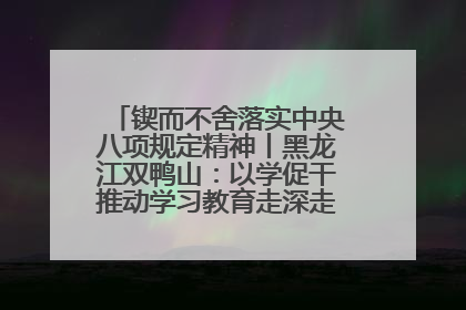 锲而不舍落实中央八项规定精神丨黑龙江双鸭山：以学促干推动学习教育走深走实 从小事入手写好“民生答卷”