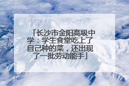长沙市金阳高级中学：学生食堂吃上了自己种的菜，还出现了一批劳动能手