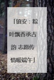 镇安：粽叶飘香承古韵 志愿传情暖端午