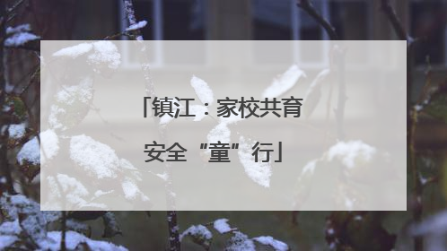 镇江：家校共育 安全“童”行