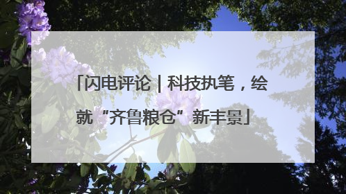 闪电评论｜科技执笔，绘就“齐鲁粮仓”新丰景