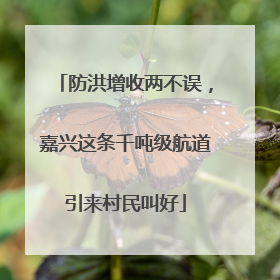 防洪增收两不误，嘉兴这条千吨级航道引来村民叫好