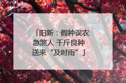 阳新：假种误农急煞人 千斤良种送来“及时雨”