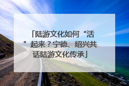 陆游文化如何“活 ”起来？宁德、绍兴共话陆游文化传承