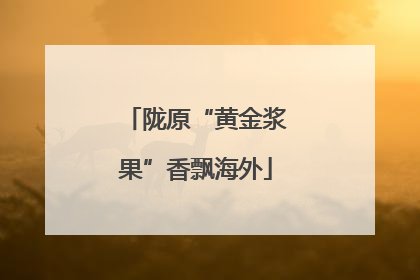 陇原“黄金浆果”香飘海外