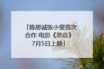 陈思诚张小斐首次合作 电影《恶意》7月5日上映