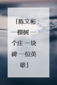 陈文彬：一棵树 一个庄 一块碑 一位英雄