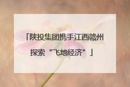 陕投集团携手江西赣州 探索“飞地经济”