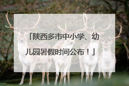 陕西多市中小学、幼儿园暑假时间公布！