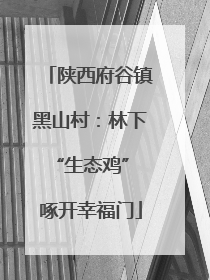 陕西府谷镇黑山村：林下“生态鸡” 啄开幸福门