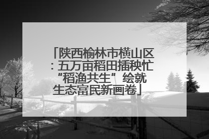 陕西榆林市横山区：五万亩稻田插秧忙 “稻渔共生”绘就生态富民新画卷