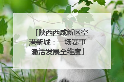 陕西西咸新区空港新城：一场赛事激活发展全维度