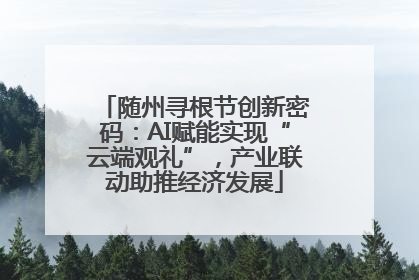随州寻根节创新密码：AI赋能实现“云端观礼”，产业联动助推经济发展