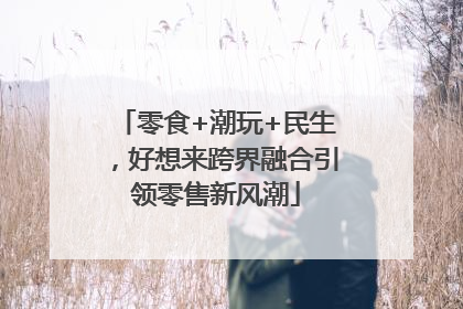 零食+潮玩+民生，好想来跨界融合引领零售新风潮