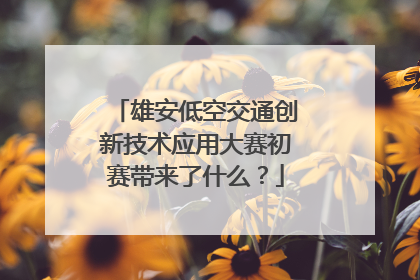 雄安低空交通创新技术应用大赛初赛带来了什么？