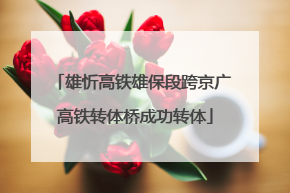 雄忻高铁雄保段跨京广高铁转体桥成功转体