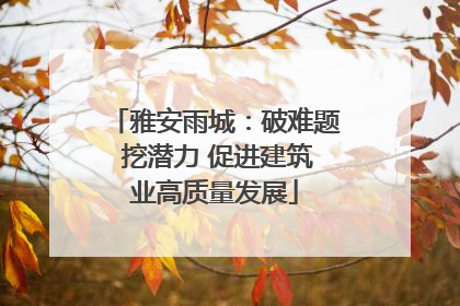雅安雨城：破难题 挖潜力 促进建筑业高质量发展