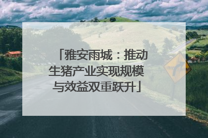 雅安雨城：推动生猪产业实现规模与效益双重跃升