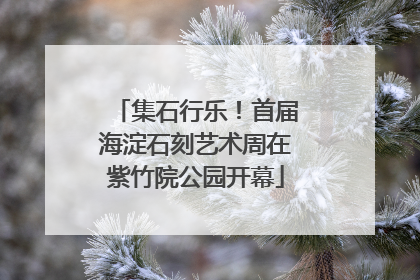 集石行乐！首届海淀石刻艺术周在紫竹院公园开幕
