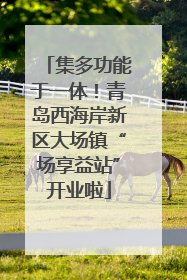 集多功能于一体！青岛西海岸新区大场镇“场享益站”开业啦