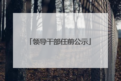 领导干部任前公示