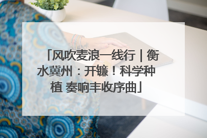风吹麦浪一线行｜衡水冀州：开镰！科学种植 奏响丰收序曲