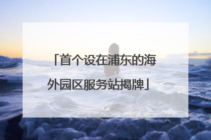 首个设在浦东的海外园区服务站揭牌