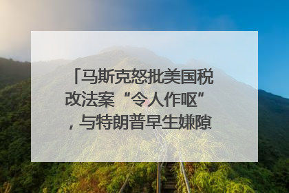 马斯克怒批美国税改法案“令人作呕”，与特朗普早生嫌隙？｜国际识局