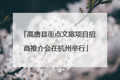高唐县重点文旅项目招商推介会在杭州举行
