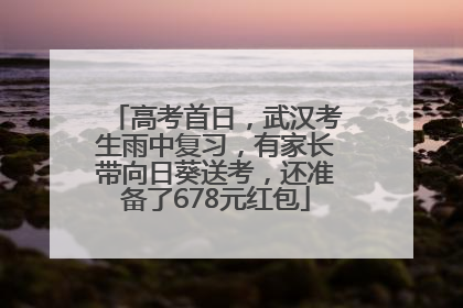 高考首日，武汉考生雨中复习，有家长带向日葵送考，还准备了678元红包