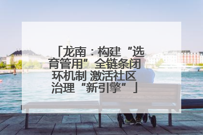 龙南：构建“选育管用”全链条闭环机制 激活社区治理“新引擎”
