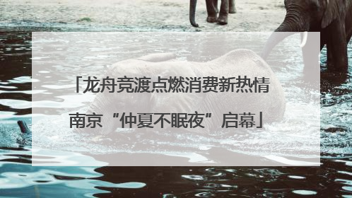 龙舟竞渡点燃消费新热情 南京“仲夏不眠夜”启幕