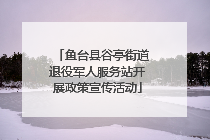 鱼台县谷亭街道退役军人服务站开展政策宣传活动