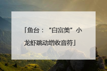 鱼台：“白富美”小龙虾跳动增收音符