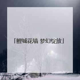 鲤城花墙 梦幻绽放