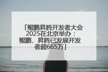 鲲鹏昇腾开发者大会2025在北京举办：鲲鹏、昇腾已发展开发者超665万