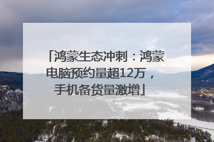 鸿蒙生态冲刺：鸿蒙电脑预约量超12万，手机备货量激增