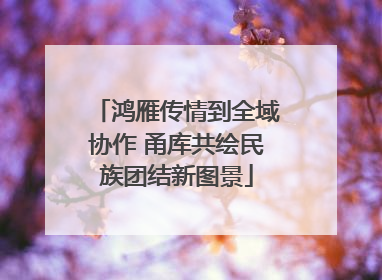 鸿雁传情到全域协作 甬库共绘民族团结新图景
