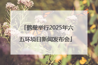 鹤壁举行2025年六五环境日新闻发布会