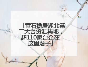 黄石稳居湖北第二大台资汇集地，超110家台企在这里落子