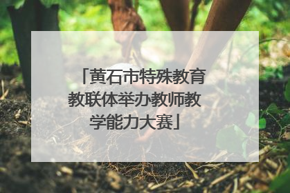 黄石市特殊教育教联体举办教师教学能力大赛